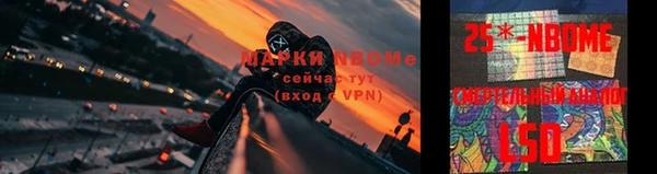 стафф Кулебаки