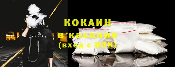 стафф Кулебаки
