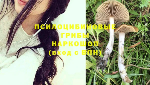 стафф Кулебаки
